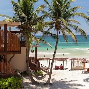 https://la-zebra-a-colibri-boutique-hotel.tulum-hotels.net